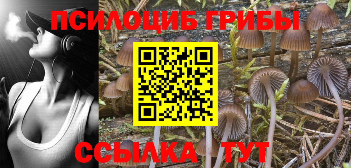 Галлюциногенные грибы Cubensis Дубна