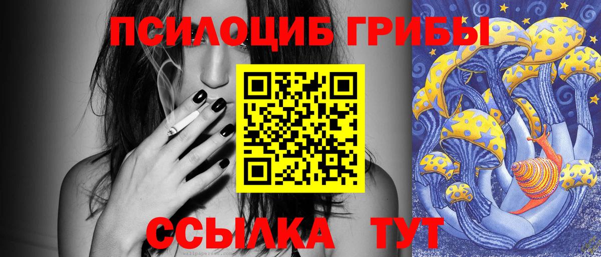 Псилоцибиновые грибы Psilocybe  Вход с VPN  Дубна 